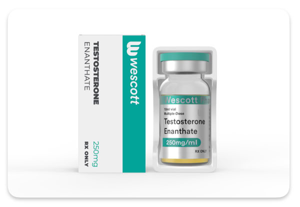 Testosterona Enantato 250mg Wescott colombia